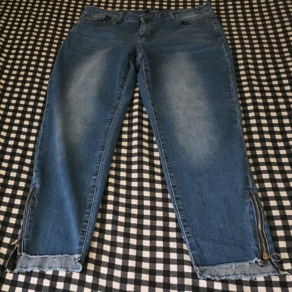 Earl Jeans Blue Skinny Zippered Ankle Denim Size 16